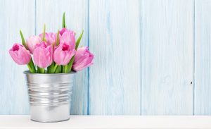 表紙のテキスト